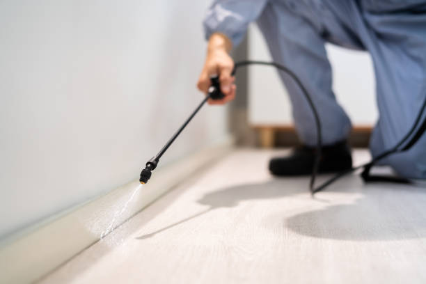 Licensed Pest Control service in Terrace Park, OH - Show Me Pest Control
