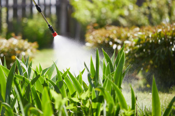 Tamper-Resistant Bait Stations for Rodents in Terrace Park