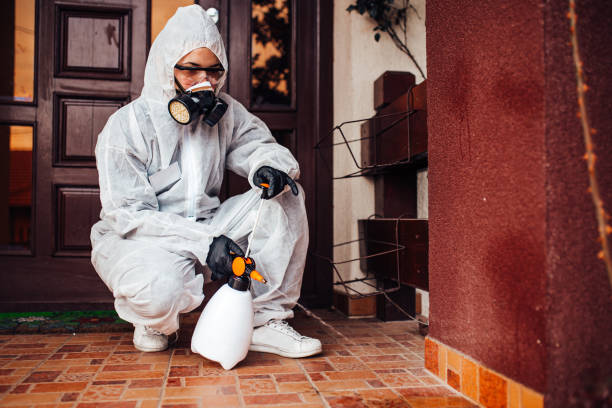 Attic and Crawl Space Rodent Treatment in Terrace Park