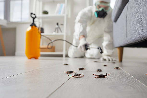 Commercial Rodent Management in Terrace Park